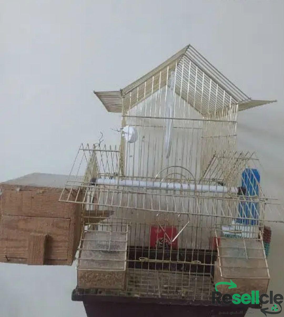 قفص عصافير ذهبي