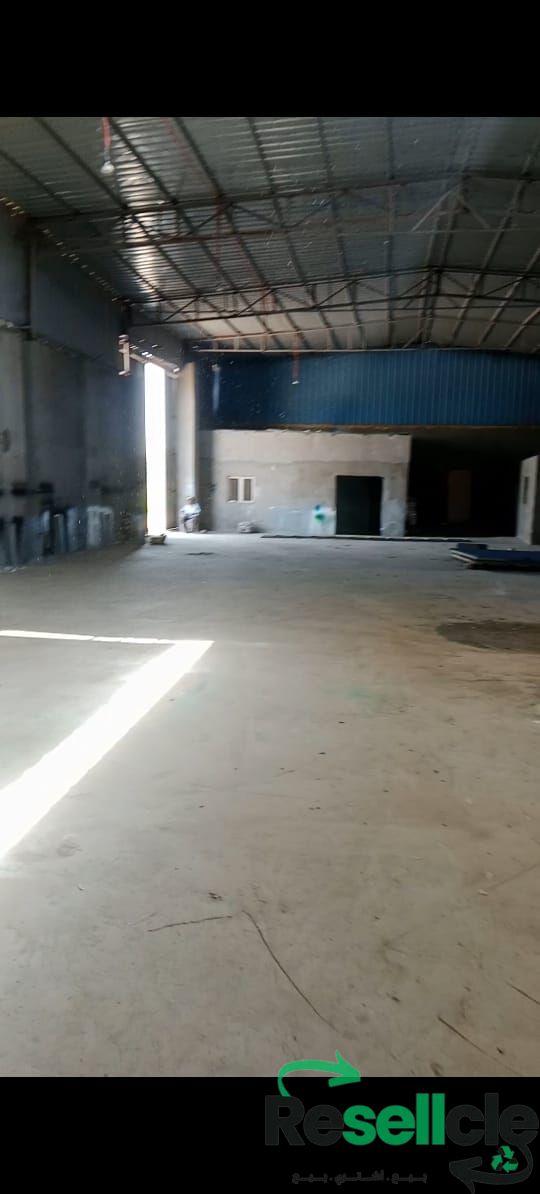 محمود شحاتة 